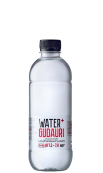 gudauri-05l-plastik